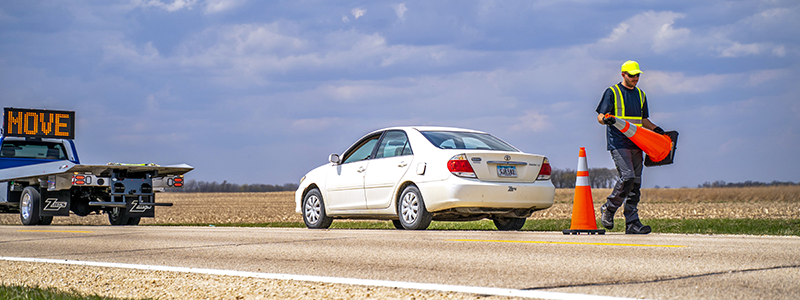 Understanding the Basics: Cone Types, Sizes, and Colors